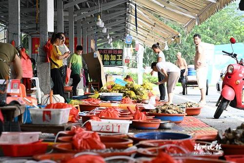 海鲜爆料视频,揭秘海鲜市场背后的惊人真相  第2张